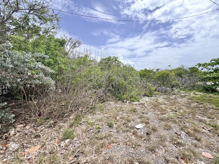 Large Beachfront Lot - Rum Point Drive - Perfect Estate Parcel