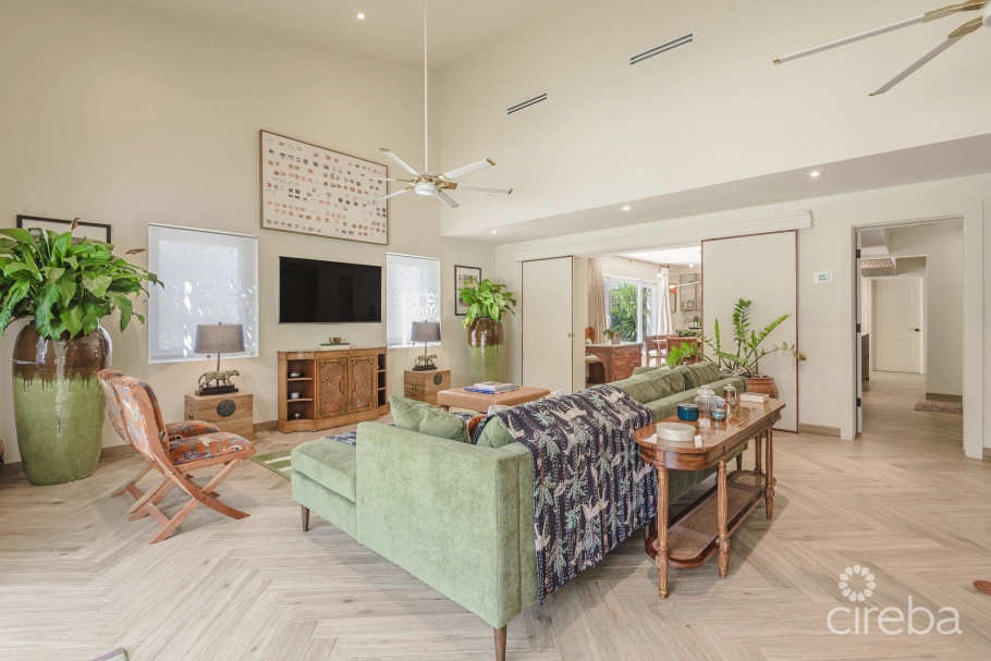 Remastered Mid-century Modern Home