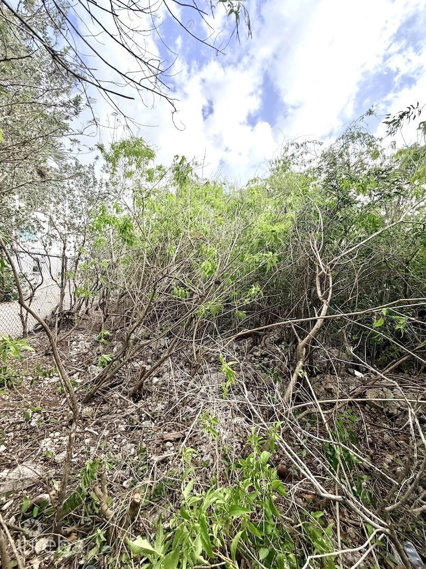 Large Beachfront Lot - Rum Point Drive - Perfect Estate Parcel