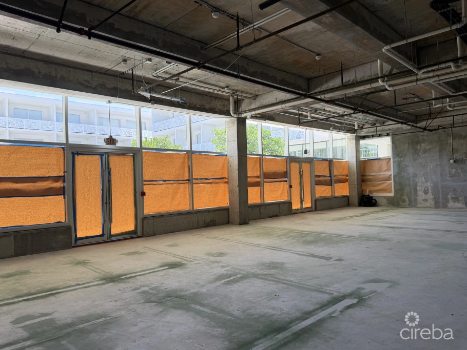 Grove Too  Commercial Office Space - Rare Corner Location