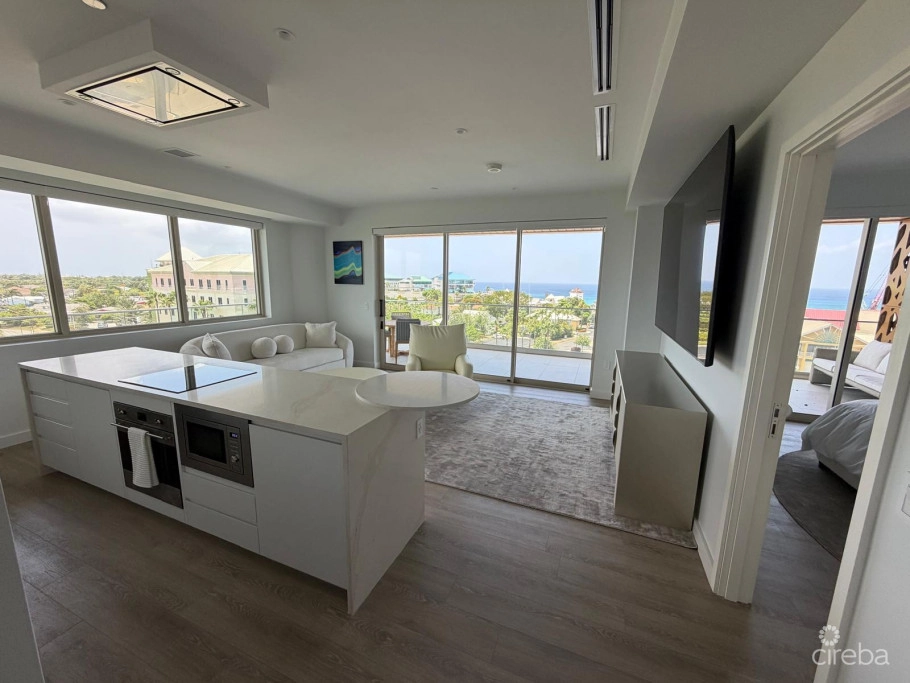One Gt Designer Furnished, Deeded Parking