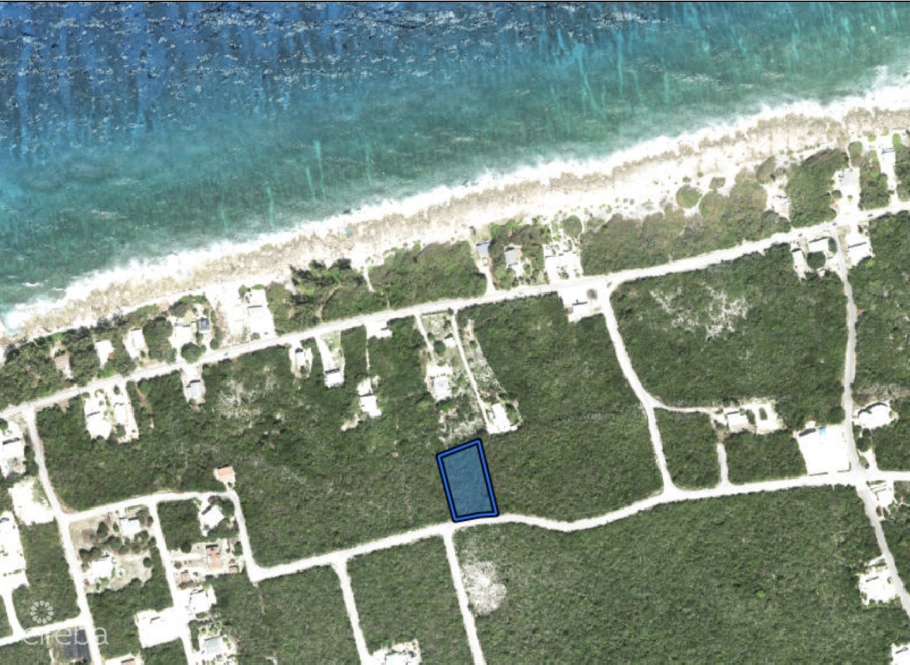 Bluff Edge - Ocean View