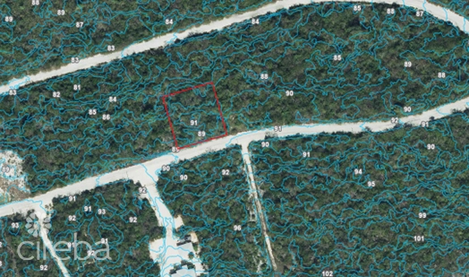 Cayman Brac Bluff Lot (0.2874 Acre)