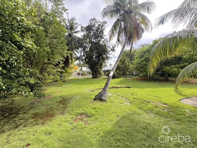 Rare Double-lot Oasis Bungalow  With Pool In Snug Harbour