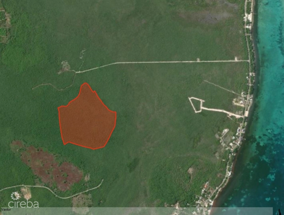 78 Acres - Colliers