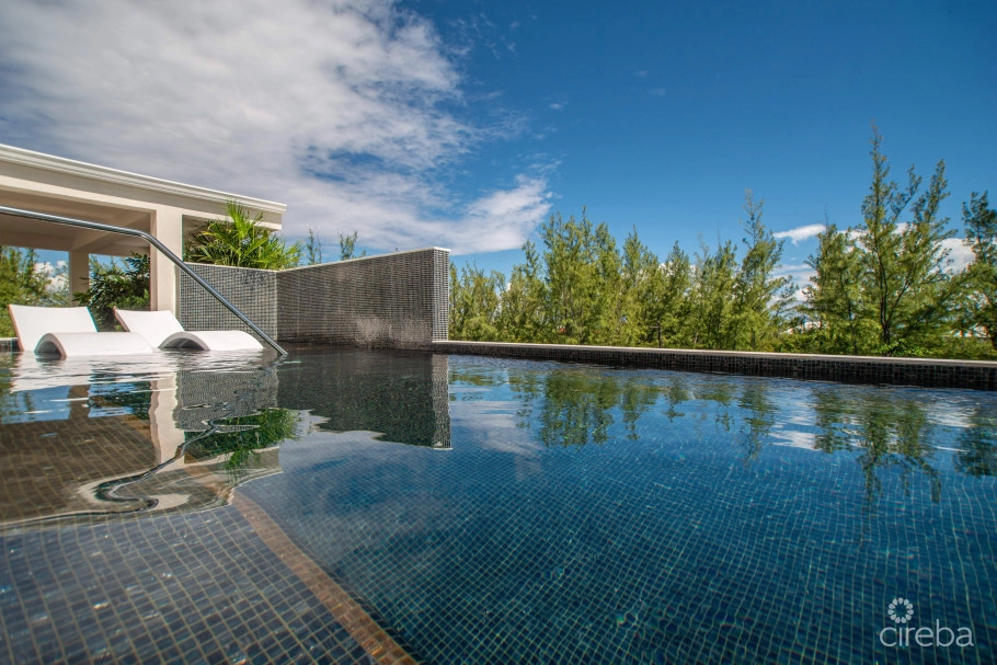 Studio Paradisum At The Grove