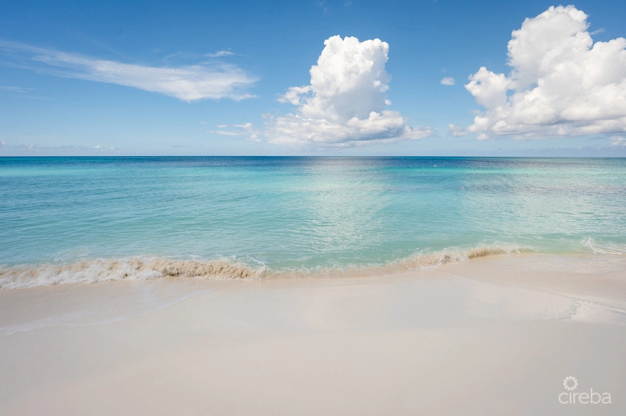Regal Beach Club #124
