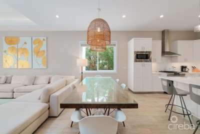 BOGGY SANDS CLUB DRIFTWOOD 1