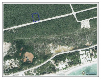 BRAC BLUFF LAND .40  ACRE