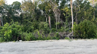 CAYMAN BRAC CENTRAL LAND