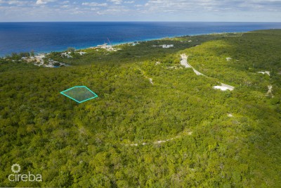 CAYMAN BRAC LAND 230