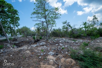 CAYMAN BRAC LAND, RYAN DR.