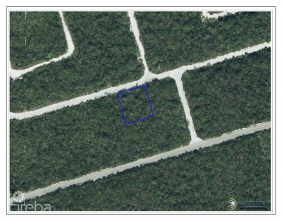 CAYMAN BRAC LOT ON BLUFF AT SELWORTHY GROVES