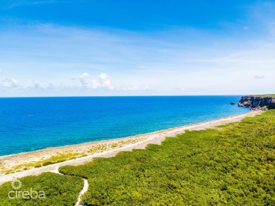 CAYMAN BRAC SELWORTHY GROVE LAND PARCEL