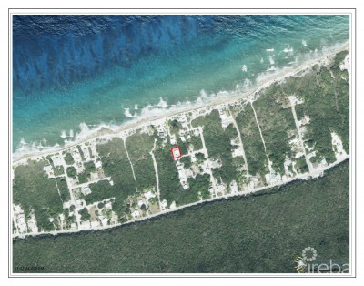 CORAL AVENUE PROPERTY