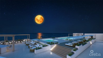 INDU UNIT #3 - 1BED PLUS DEN - 25% OFF FIRST 9 SALES