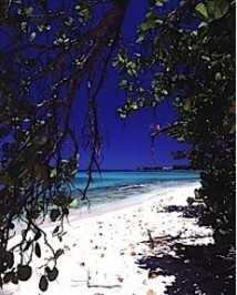 NORTHSIDE BEACHFRONT - VISTAS BEYOND THE SEA