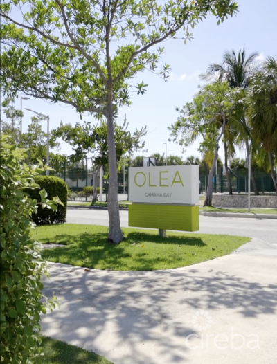OLEA 335 -  3-BEDROOM CONDO