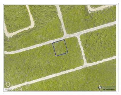 SELWORTHY GROVES LOT, CAYMAN BRAC BLUFF