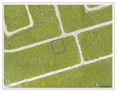 SELWORTHY GROVES LOT, CAYMAN BRAC BLUFF