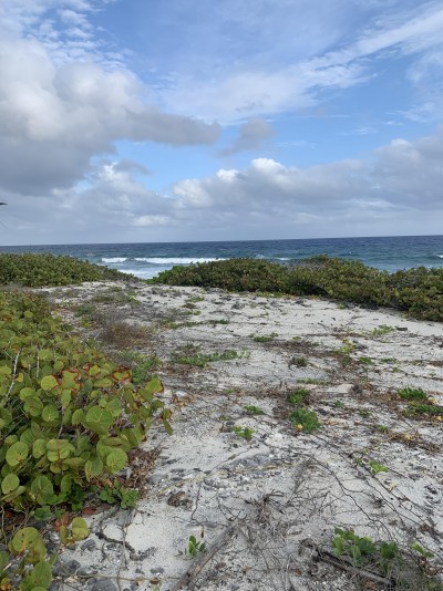 SOUTH SIDE OCEAN FRONT LAND