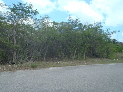 STEPPING STONES OVER SIZED PARCEL