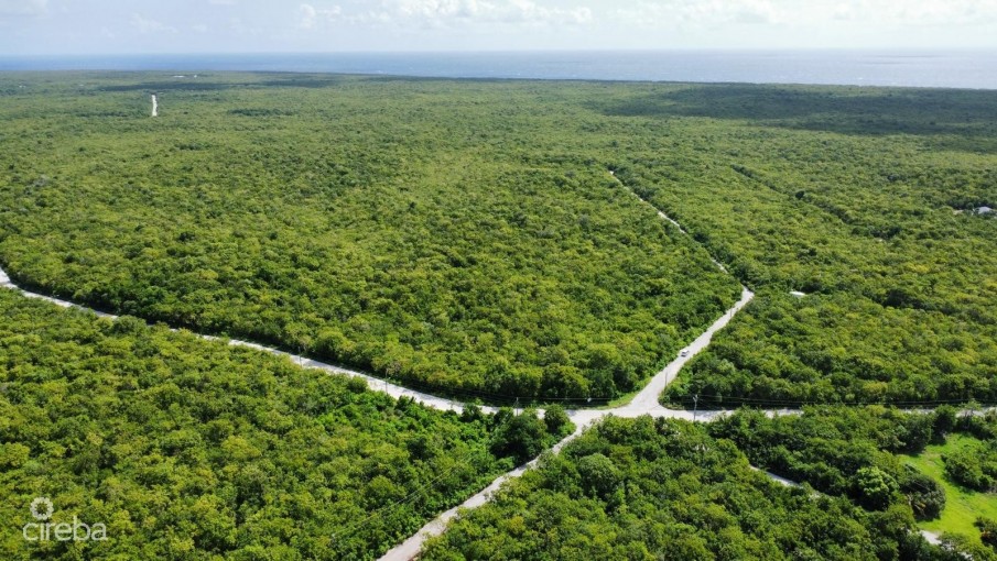 .33 ACRES ON THE BLUFF IN SOVEREIGN HEIGHTS - Image 5