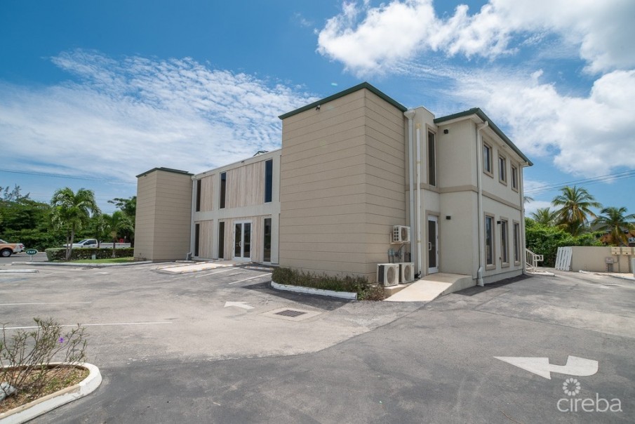 COMMERCIAL OFFICE SPACE PALM GROVE - Image 4