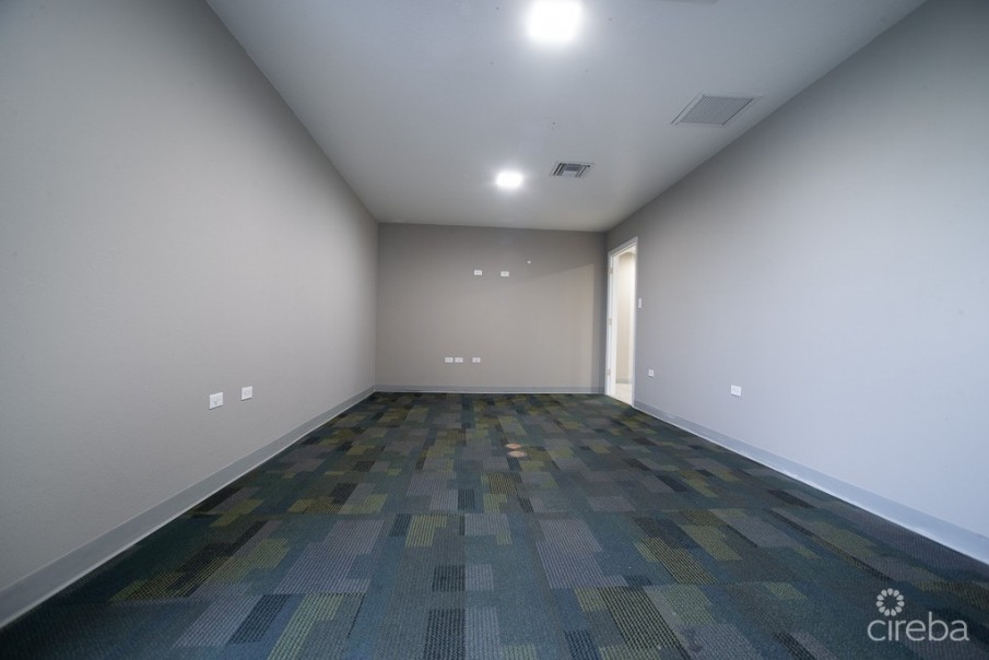 COMMERCIAL OFFICE SPACE PALM GROVE - Image 1