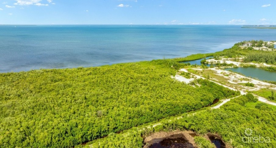 1.2 ACRE LOW DENSITY PARCEL - Image 1