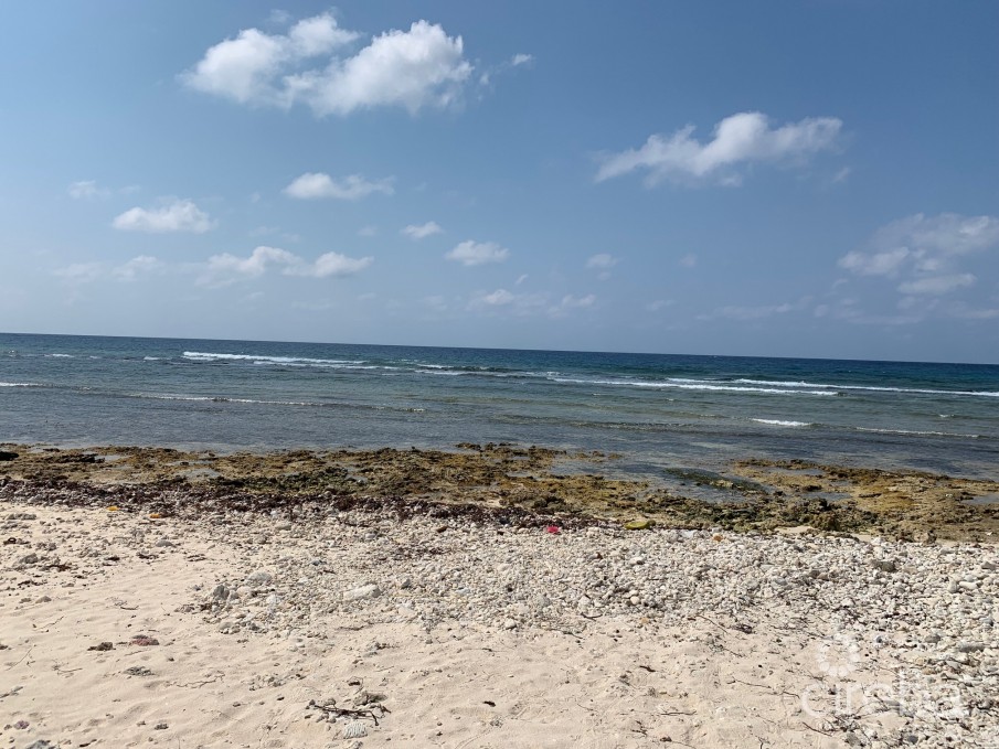 17 SEA WATCH - Image 37