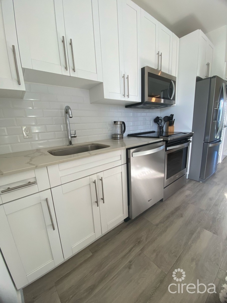 19 NORTH 1 BED RENOVATED WITH LAKE VIEW - Image 1