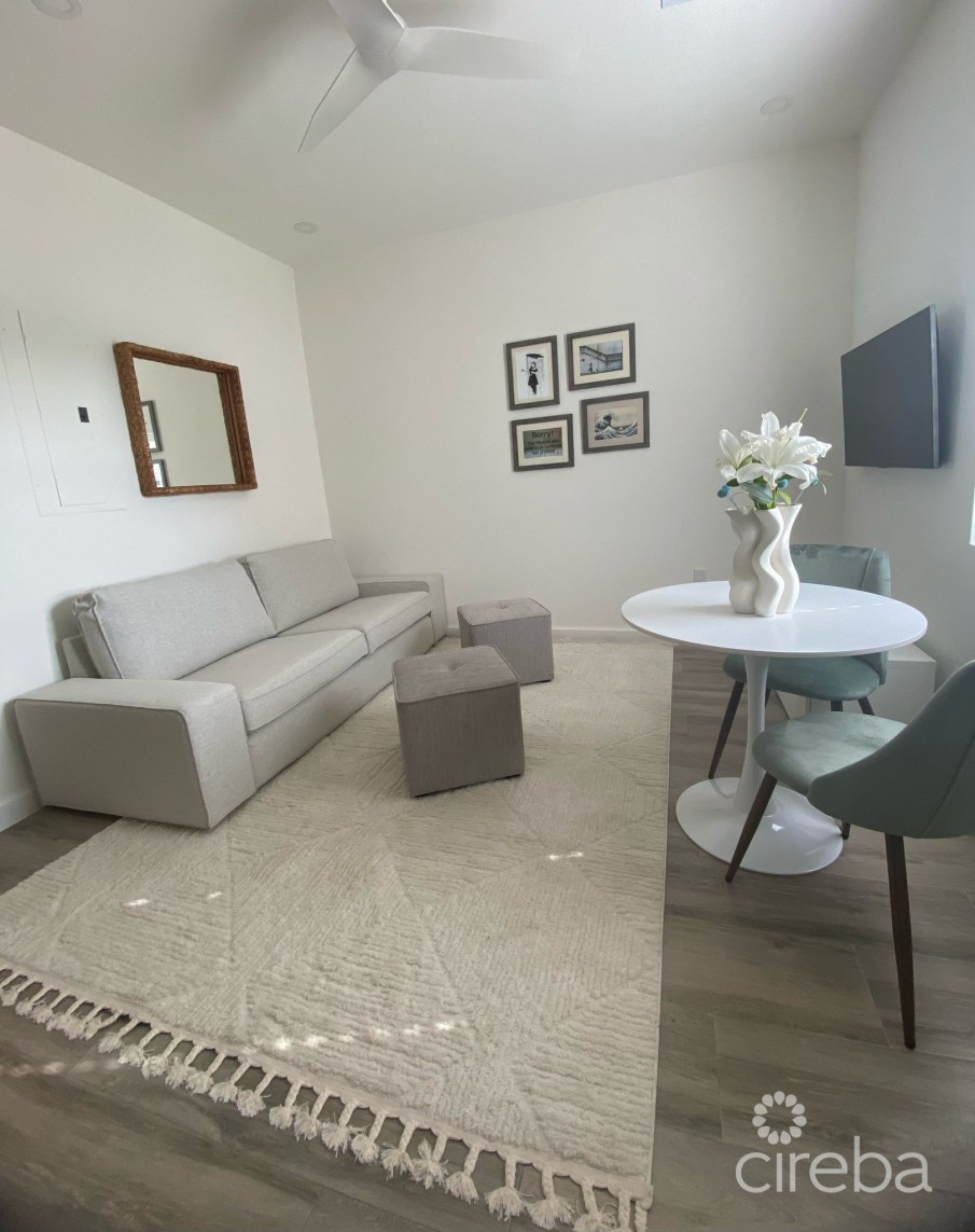19 NORTH 1 BED RENOVATED WITH LAKE VIEW