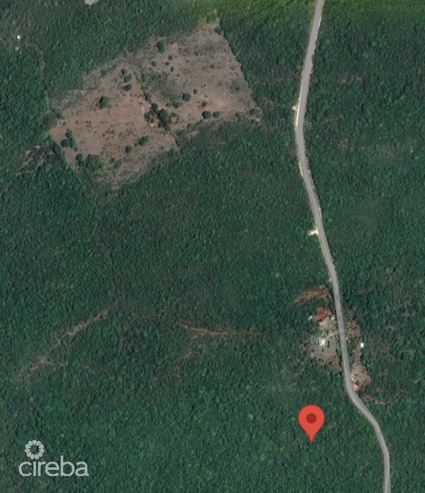 20 ACRES BRAC BLUFF LAND - Image 3