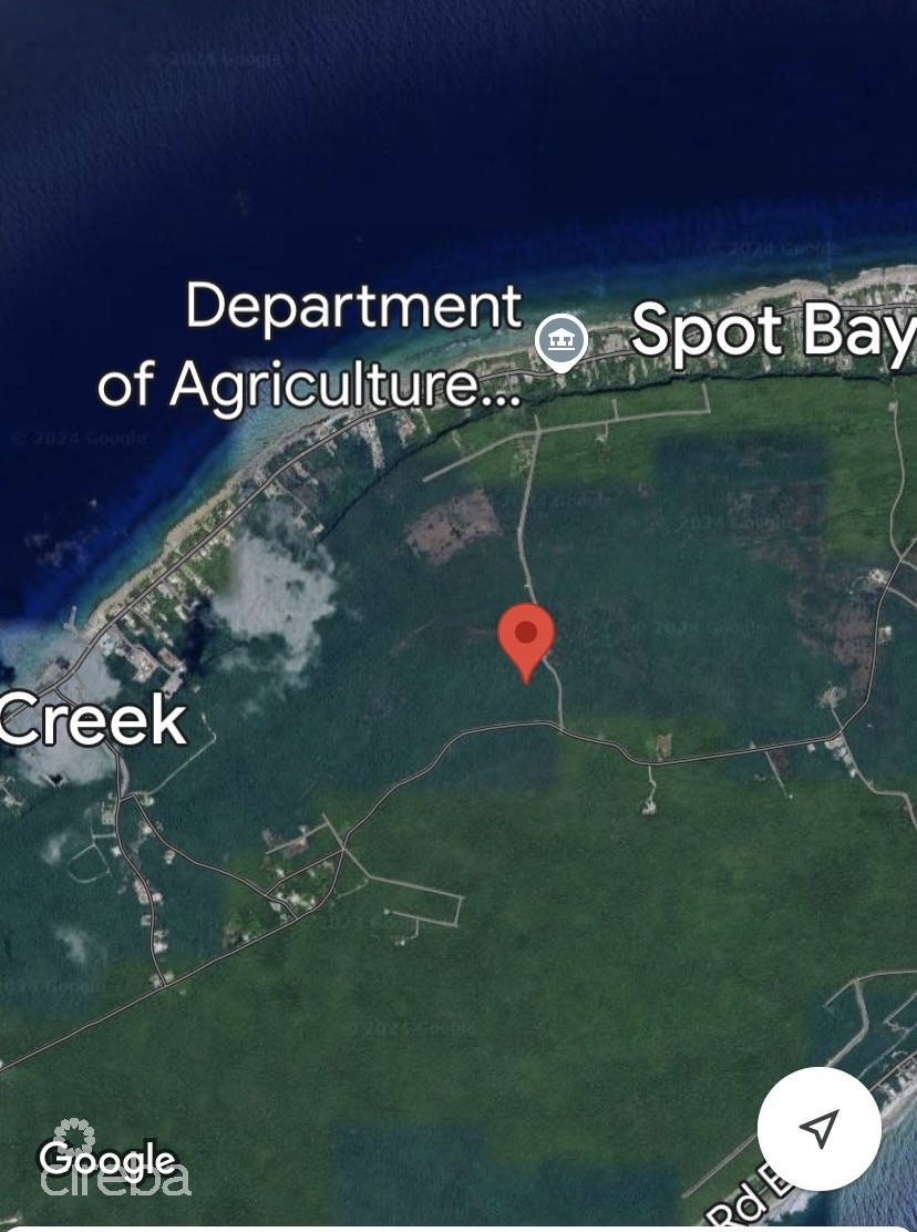 20 ACRES BRAC BLUFF LAND - Image 2