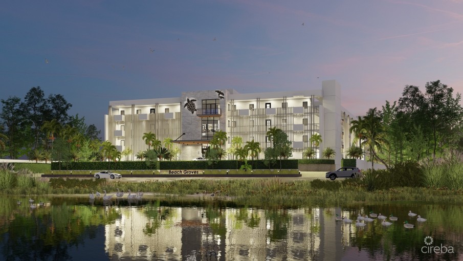 BEACH GROVES - Image 3