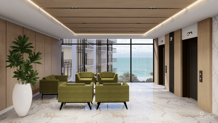 BEACH GROVES - Image 7