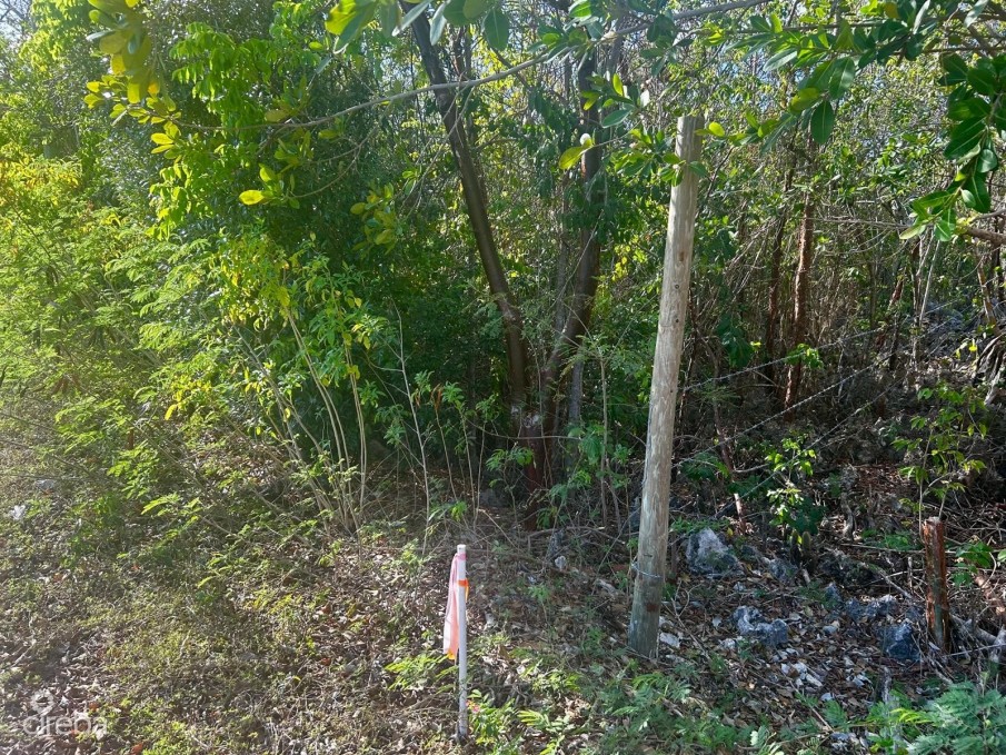 BLUFF LOT WITH FANTASTIC VIEWS - Image 5