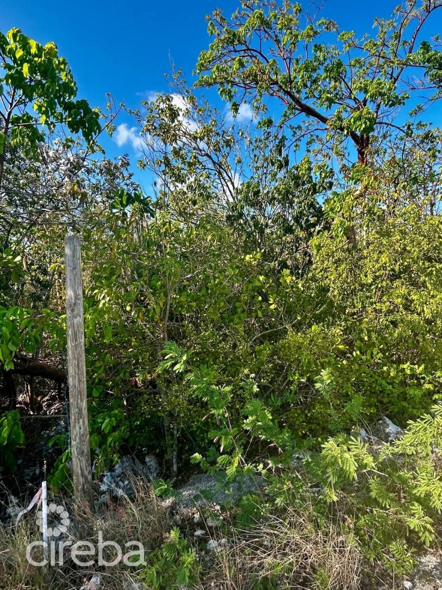 BLUFF LOT WITH FANTASTIC VIEWS - Image 6