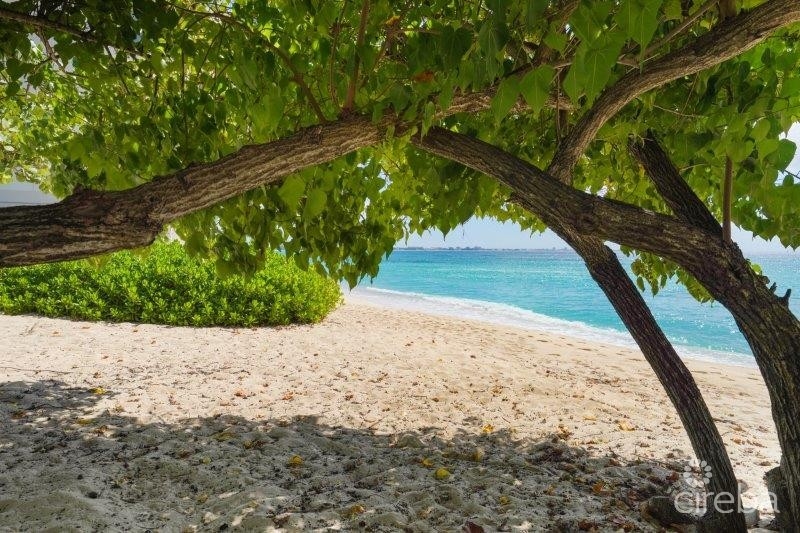 BOHO BEACH STUDIO 20 STEPS TO THE BEACH! - Image 6