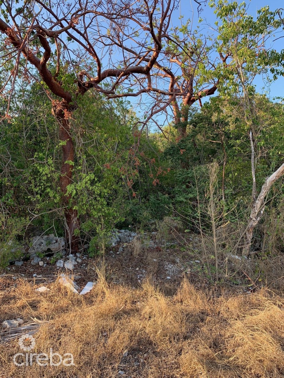 BRAC INLAND PROPERTY WEST END - Image 3