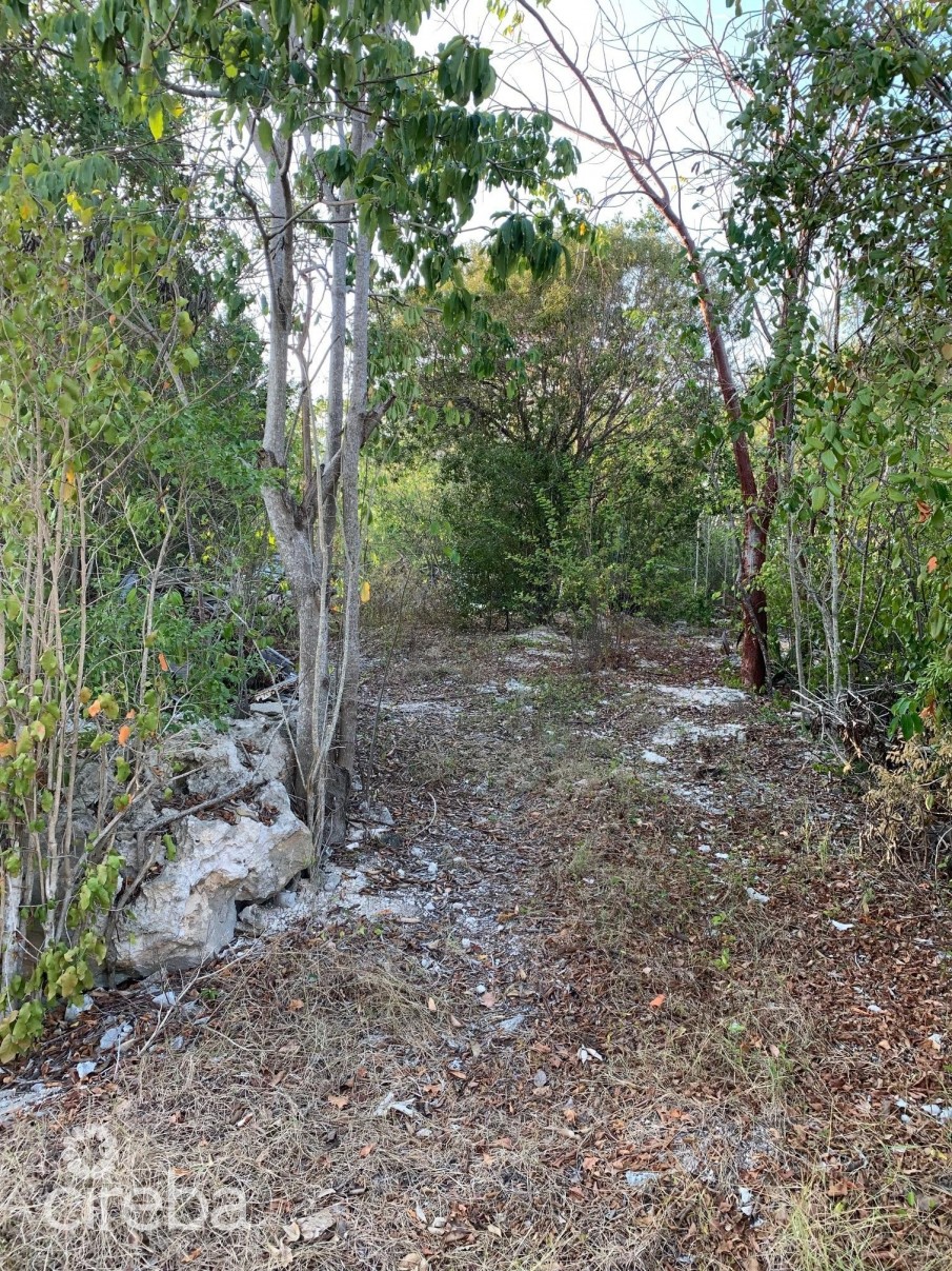 BRAC INLAND PROPERTY WEST END