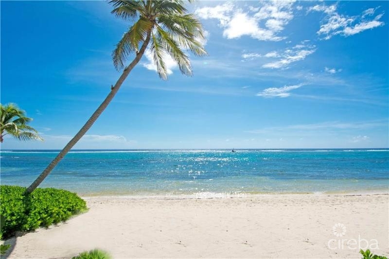 CARIBBEAN PARADISE 2 - Image 2