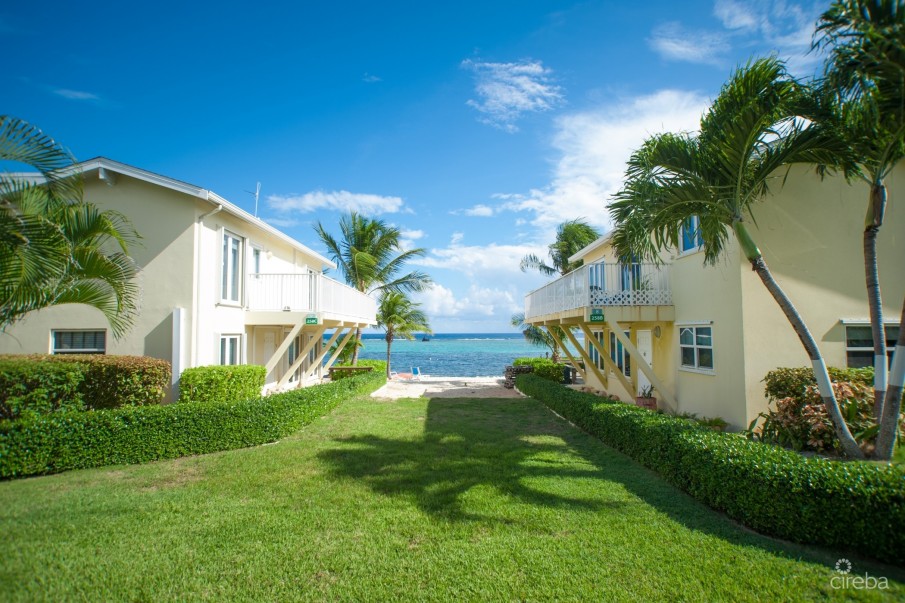 CARIBBEAN PARADISE 2 - Image 3