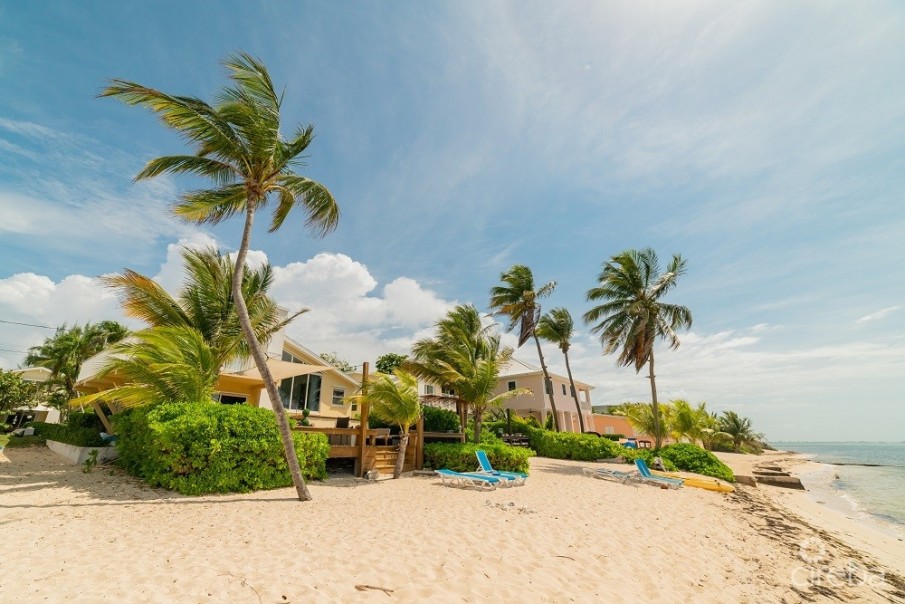 CARIBBEAN PARADISE 2 - Image 4