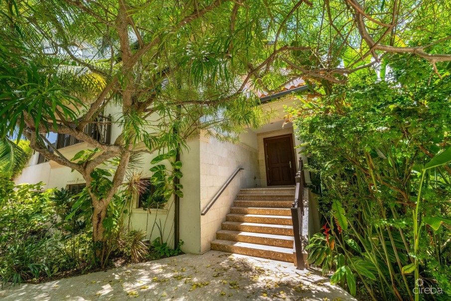 CASA LUNA #3 - Image 8