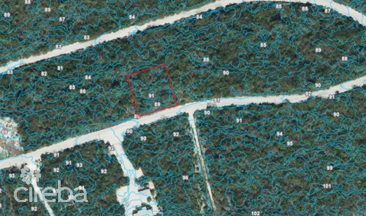 CAYMAN BRAC BLUFF LOT (0.2874 ACRE) - Image 2