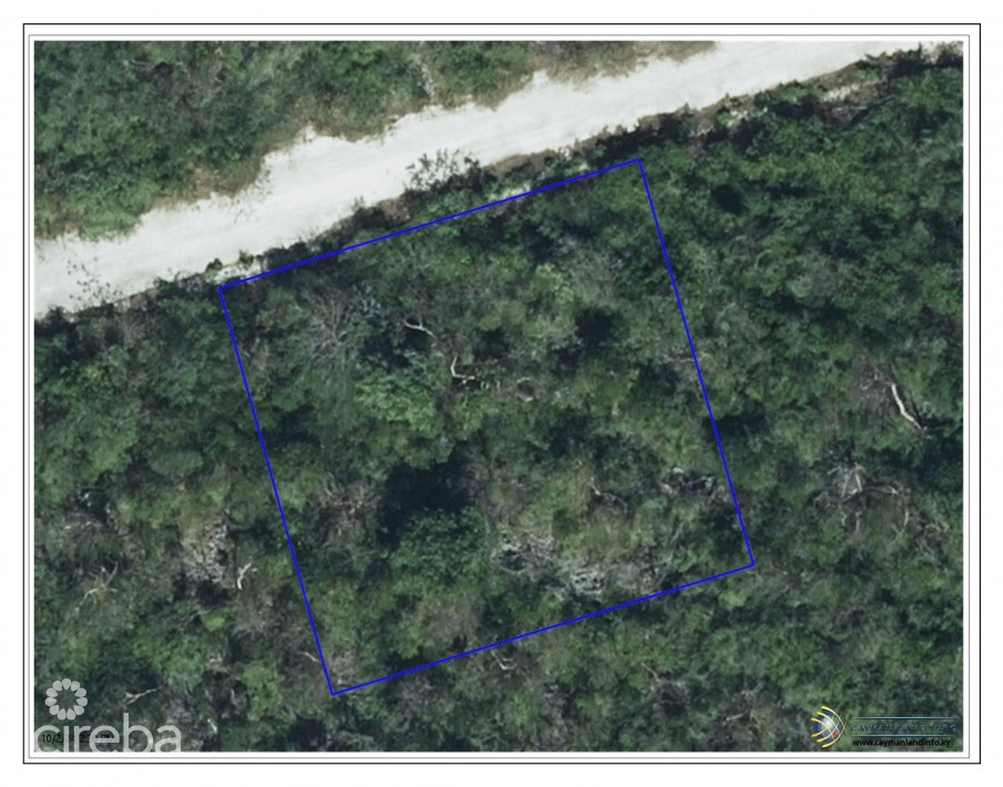 CAYMAN BRAC BLUFF LOT - BOOBY BIRD DR. - Image 2
