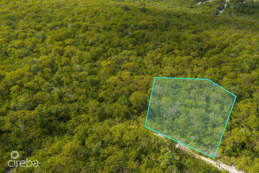 CAYMAN BRAC LAND 230 - Image 4
