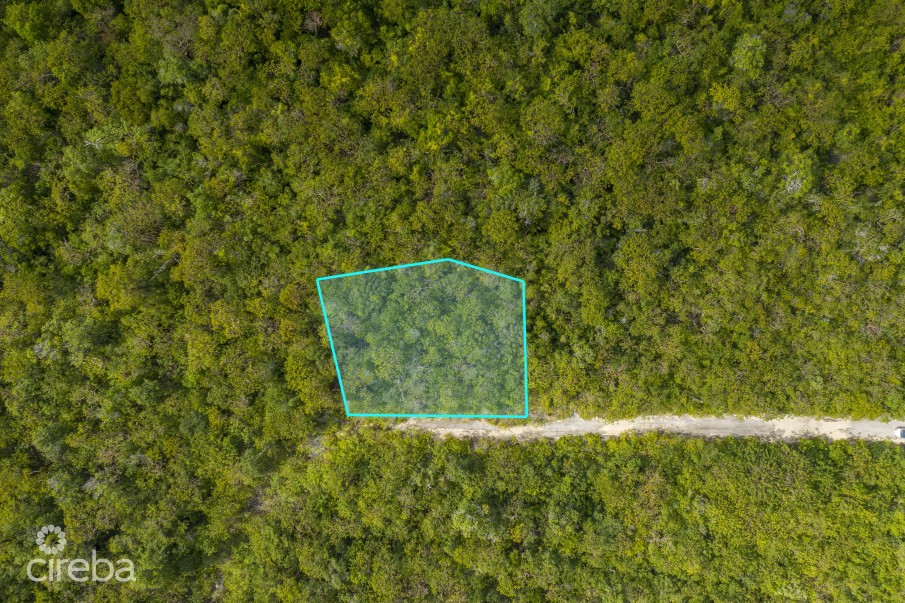CAYMAN BRAC LAND 230 - Image 2
